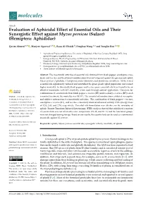 Evaluation of Aphicidal Effect of Essential Oils and Their Synergistic Effect Against Myzus Persicae (Sulzer) (Hemiptera: Aphididae)