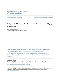 Antagonistic Pleiotropy: the Role of Smurf2 in Cancer and Aging: a Dissertation