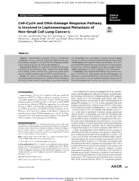 Cell-Cycle and DNA-Damage Response Pathway Is Involved In