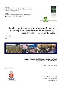 Combining Approaches to Assess Economic Viability and Insitutional Arrangements in Smallholder Irrigation Schemes