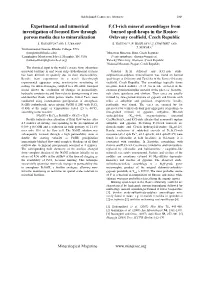 Experimental and Numerical Investigation of Focused Flow