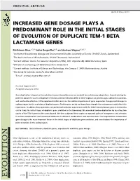Increased Gene Dosage Plays a Predominant Role in the Initial Stages of Evolution of Duplicate Tem-1 Beta Lactamase Genes