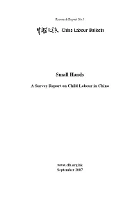 2008 Research Report on Child Labour