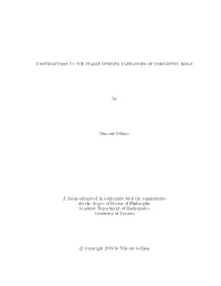 Contributions to the Stable Derived Categories of Gorenstein Rings