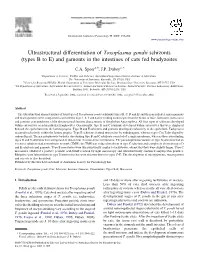 Ultrastructural Differentiation of Toxoplasma Gondii Schizonts (Types B to E) and Gamonts in the Intestines of Cats Fed Bradyzoites