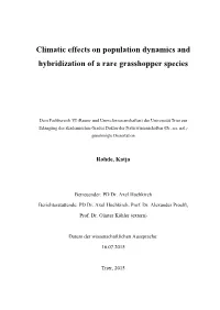 Climatic Effects on Population Dynamics and Hybridization of a Rare Grasshopper Species