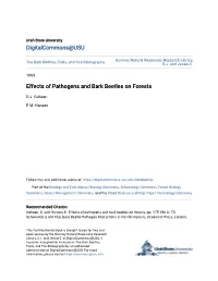 Effects of Pathogens and Bark Beetles on Forests