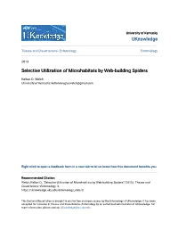 Selective Utilization of Microhabitats by Web-Building Spiders