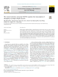 The Natural Antisense Transcript NATTD Regulates the Transcription
