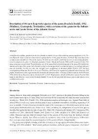 Zootaxa, Description of Two New Deep-Water