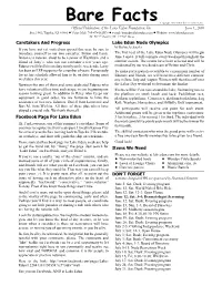 C:\Users\Webb\Documents\Lake Edun\Bare