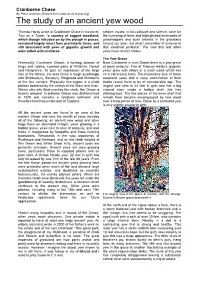 Cranborne Chase by Peter Andrews (Extract from the Study of an Ancient Yew Wood