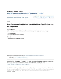 Beet Armyworm (Lepidoptera: Noctuidae) Host Plant Preferences for Oviposition