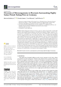 Diversity of Microorganisms in Biocrusts Surrounding Highly Saline Potash Tailing Piles in Germany
