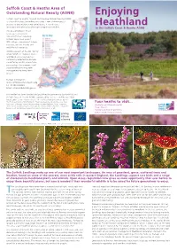 Enjoying Heathland Enjoying River Ipswich A14