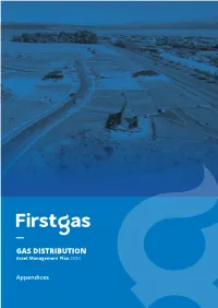 GAS DISTRIBUTION Asset Management Plan 2020
