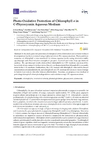 Photo-Oxidative Protection of Chlorophyll a in C-Phycocyanin Aqueous Medium