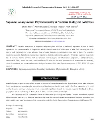 Sapindus Emarginatus: Phytochemistry & Various Biological Activities
