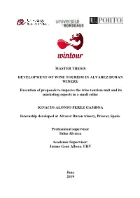 Master Thesis Development of Wine Tourism in Alvarez