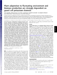 Plant Adaptation to Fluctuating Environment and Biomass Production Are Strongly Dependent on Guard Cell Potassium Channels