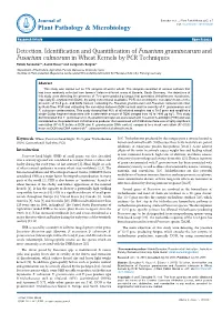 Detection, Identification and Quantification of Fusarium