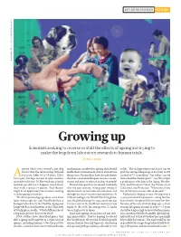 Growing up Scientists Seeking to Reverse Or Stall the Effects of Ageing Are Trying to Make the Leap from Laboratory Research to Human Trials