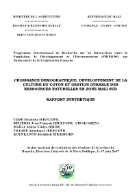 Rapport De Synthese