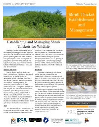 Shrub Thicket Establishment and Management