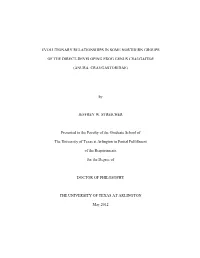 University of Texas at Arlington Dissertation Template