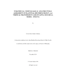 Endothelial, Immunological and Structural Assessment of Placental Specimens from T