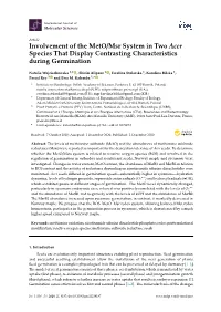 Involvement of the Meto/Msr System in Two Acer Species That Display Contrasting Characteristics During Germination