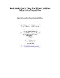 Stock Identification of Yukon River Chinook and Chum Salmon Using Microsatellites