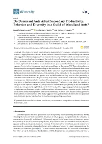 Do Dominant Ants Affect Secondary Productivity, Behavior and Diversity in a Guild of Woodland Ants?