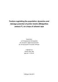 Factors Regulating the Population Dynamics and Damage Potential of Pollen Beetle (Meligethes Aeneus F.) on Crops of Oilseed Rape