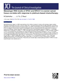 Messenger RNA Levels of XPAC and ERCC1 in Ovarian Cancer Tissue Correlate with Response to Platinum-Based Chemotherapy