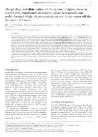 Morphology and Distribution of the Spinner Dolphin, Stenella