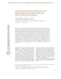 Structural and Functional Properties of Platelet-Derived Growth Factor and Stem Cell Factor Receptors