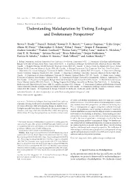 Understanding Maladaptation by Uniting Ecological and Evolutionary Perspectives*