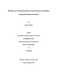 Mobility and Transnationalism: Travel Patterns and Identity