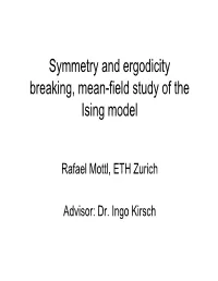 Symmetry and Ergodicity Breaking, Mean-Field Study of the Ising Model