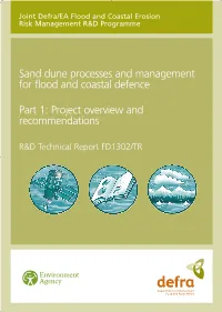 Sand Dune Processes and Management for Flood and Coastal Defence
