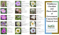 Wildflower Checklist & Photo Guide