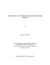Development of an Anthropomorphic Dynamic Heart Phantom