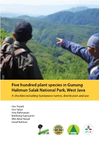 Five Hundred Plant Species in Gunung Halimun Salak National Park, West Java a Checklist Including Sundanese Names, Distribution and Use