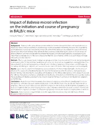 Impact of Babesia Microti Infection on the Initiation and Course Of