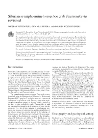 Silurian Synziphosurine Horseshoe Crab Pasternakevia Revisited