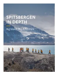 Spitsbergen in Depth