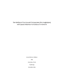 The Welfare of Zoo-Housed Chimpanzees (Pan Troglodytes) with Special Attention to Auditory Enrichment