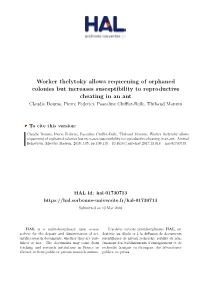 Worker Thelytoky Allows Requeening of Orphaned Colonies but Increases
