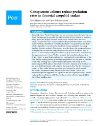 Conspicuous Colours Reduce Predation Rates in Fossorial Uropeltid Snakes